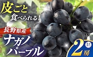 ナガノパープル 2房 約1kg 【2026年先行予約】 | ヤマモ農園
