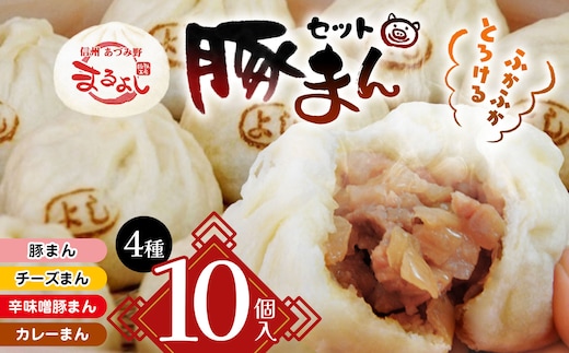 *信州産 辛子味噌豚まん入り おすすめ豚まん 4種10個入りセット | まんじゅう 肉まん おやつ 豚まん 中華 セット 4種 詰め合わせ セット 長野県 松川村 信州