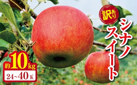 訳あり シナノスイート 約 10kg (24玉 ～40玉) 【2026年先行予約】 ｜ やまし平林農園