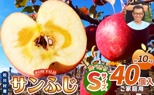 家庭用 サンふじ 食べきりSサイズ 40個入り 10kg