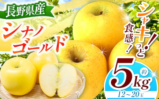 シナノゴールド 約5kg 【2026年先行予約】 | 浅野農園