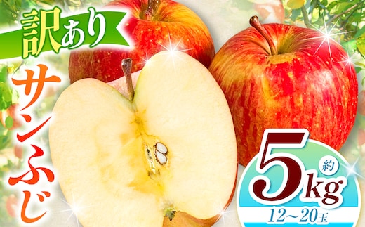 訳あり サンフジ 5kg | 浅野農園