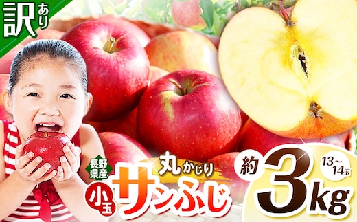 訳あり サンフジ 丸かじりSSサイズ 3kg | 浅野農園