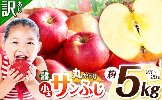 訳あり サンフジ 丸かじりSSサイズ 5kg | 浅野農園