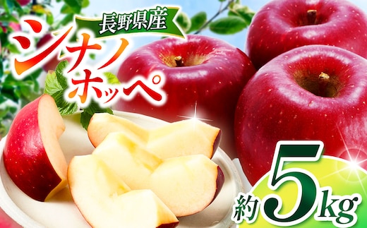 シナノホッペ 約5kg 【2026年先行予約】 | 浅野農園