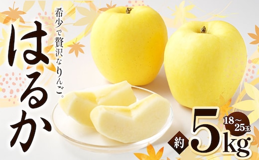 【2026年先行予約】はるか 約5kg ｜ 浅野農園