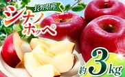 シナノホッペ 約3kg 【2026年先行予約】 | 浅野農園