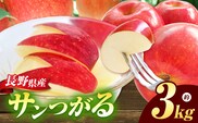サンつがる 約3kg 【2026年先行予約】 | 浅野農園