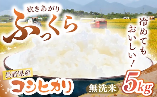 長野県産 コシヒカリ（無洗米）5kg