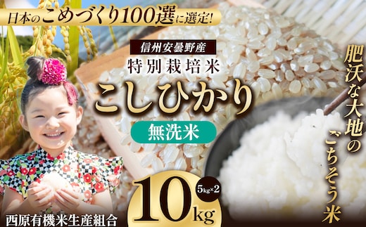 特別栽培米 こしひかり 無洗米 約10kg | 有限会社川久保米穀