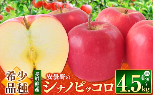 シナノピッコロ 約 4kg ～ 4.5kg 【2026年先行予約 】