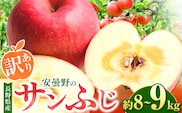 *【2025年先行予約】 訳あり サンふじ 約8～9kg ｜ 東印平林農園 リンゴ りんご 林檎 果物 フルーツ 果実 果汁 サンふじ さんふじ わけあり 訳アリ 長野県 松川村 信州 安曇野
