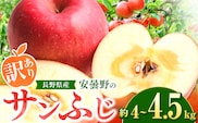 【2025年先行予約】訳あり サンふじ 約4～4.5kg | 東印平林農園 リンゴ りんご 林檎 果物 くだもの フルーツ 果実 果汁 サンフジ サンふじ エコファーマー 長野県 松川村 信州