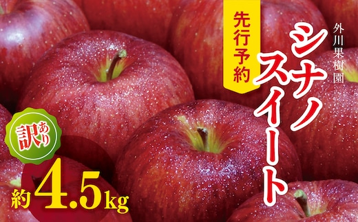 【2026年先行予約】訳あり シナノスイート 約4.5kg