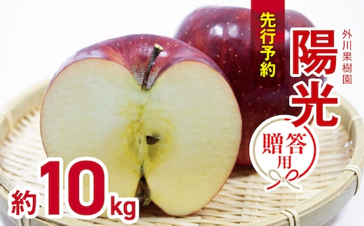 贈答用 陽光 約10kg | 外川果樹園