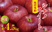 【2026年先行予約】訳あり シナノスイート 約4.5kg