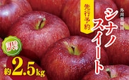 【2026年先行予約】訳あり シナノスイート 約2.5kg