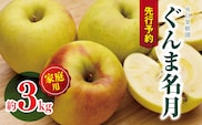 家庭用 ぐんま名月 約3kg ｜ 外川果樹園