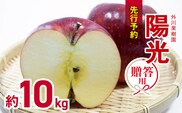 贈答用 陽光 約10kg | 外川果樹園