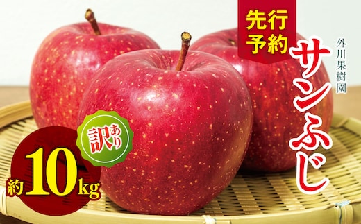 訳あり サンふじ 約 10kg ｜ 外川果樹園