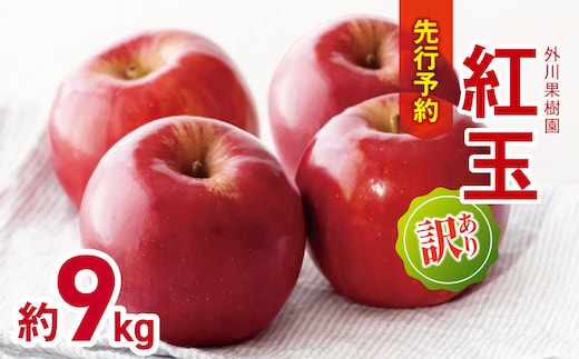 訳あり 紅玉 約9kg 【2026年先行予約】 ｜ 外川果樹園