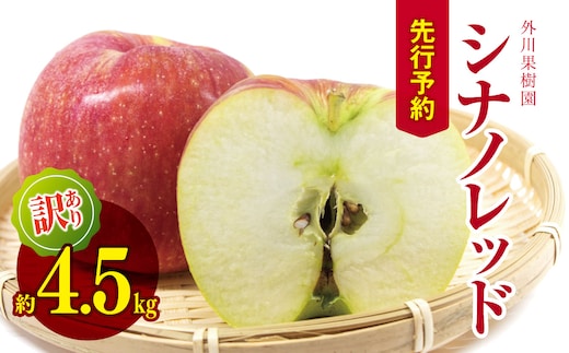 訳あり シナノレッド 約 4.5kg 【2026年先行予約】