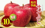 訳あり サンふじ 約 10kg ｜ 外川果樹園