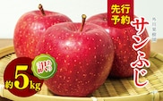 訳あり サンふじ 約 5kg ｜ 外川果樹園