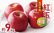 訳あり 紅玉 約9kg 【2026年先行予約】 ｜ 外川果樹園