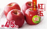 訳あり 紅玉 約4.5kg 【2026年先行予約】  ｜ 外川果樹園