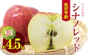 訳あり シナノレッド 約 4.5kg 【2026年先行予約】