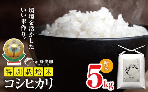 【令和7年度産】コシヒカリ 特別栽培米 5kg