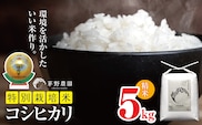 【令和7年度産】コシヒカリ 特別栽培米 5kg