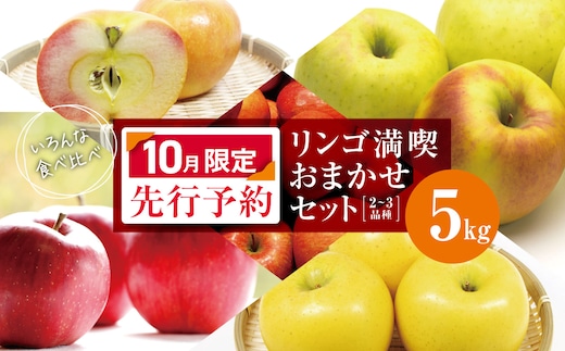 【2026年10月限定 先行予約】 訳あり リンゴ 満喫おまかせセット 約 5kg | ヤマモ農園