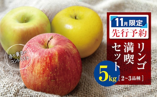 【2026年11月限定 先行予約】 訳あり リンゴ 満喫おまかせセット 約 5kg | ヤマモ農園