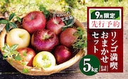 【2026年9月限定 先行予約】 訳あり リンゴ 満喫おまかせセット 約 5kg | ヤマモ農園