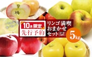 【2026年10月限定 先行予約】 訳あり リンゴ 満喫おまかせセット 約 5kg | ヤマモ農園