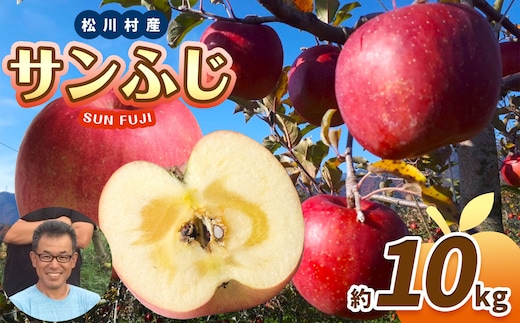 【2025年先行予約】 サンふじ 約 10kg ( 並品 )
