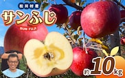 【2025年先行予約】 サンふじ 約 10kg ( 並品 )
