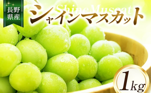 【2026年先行予約】シャインマスカット1kg ｜ ちのふぁーむ