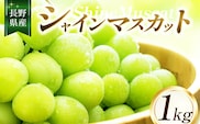 【2026年先行予約】シャインマスカット1kg ｜ ちのふぁーむ