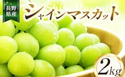 【2026年先行予約】シャインマスカット2kg | ちのふぁーむ