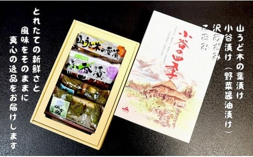 小谷の四季（山菜漬物セット）