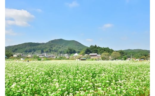 小谷産そば粉使用の手打ちそば（冷凍）