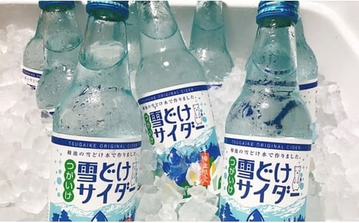 雪どけサイダー20本セット 340ml×20本