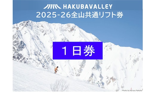 HAKUBA VALLEY 10スキー場共通1日券（2枚）
