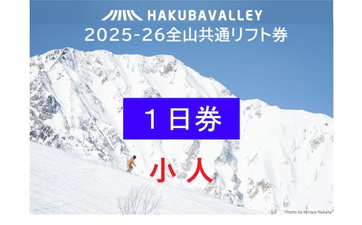 HAKUBA VALLEY 10スキー場共通小人1日券・小人（2枚）※6歳～12歳