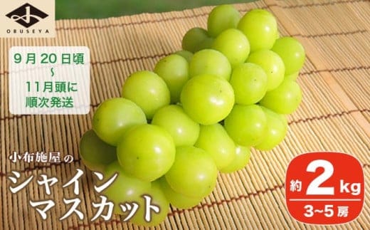 シャインマスカット 約2kg 3～5房 ［小布施屋］2026年9月20日頃～11月頭にかけて順次発送
