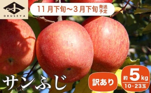 【訳あり】 サンふじ 約5kg 10～23玉［小布施屋］ 【2025年11月下旬～2026年3月下旬発送】