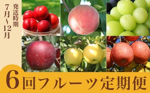 【6回定期便】小布施屋のフルーツ定期便 6ヵ月コース ［小布施屋］ 定期便 頒布会 フルーツ 果物 令和8年産 【2026年7月～12月発送】 ［J-3］